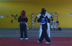 TROPHEE MANTE QWAN KI 2016