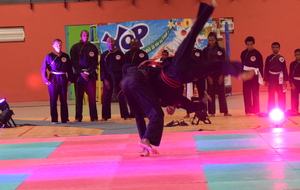 REPRISE DES COURS DE QWAN KI DO