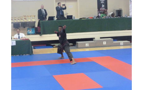 COUPE DE FRANCE 2013