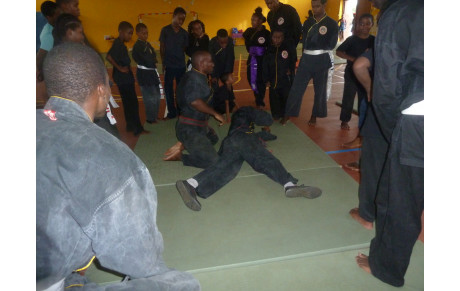 REPRISE DES ACTIVITES