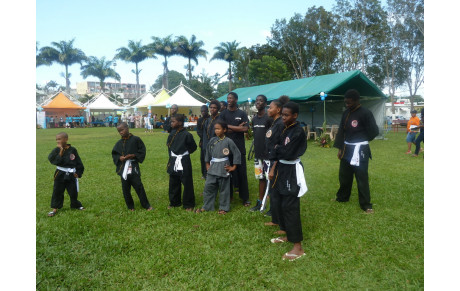 REPRISE DES COURS DE QWAN KI DO