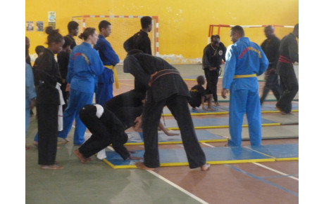 REPRISE DES COURS DE QWAN KI DO